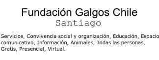 Déjate adoptar por un galgo y se parte de su rescate